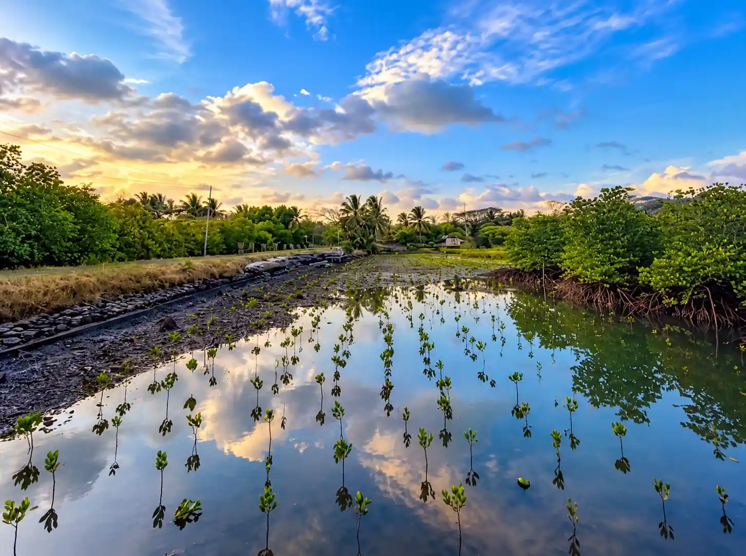 Yerrata Mangrove Walkway & Watchtower photo 4