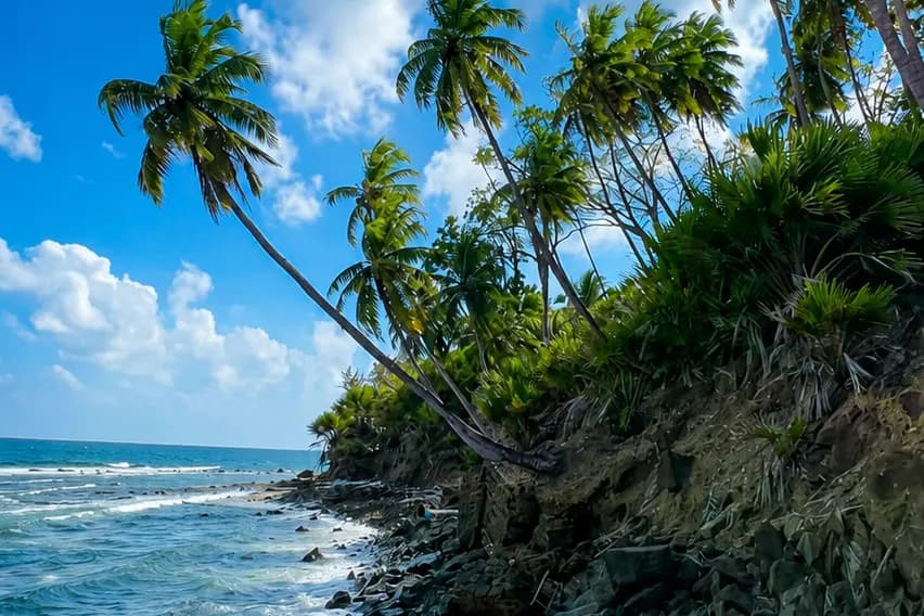 Ross Island (Netaji Subhash Chandra Bose Dweep) photo 4