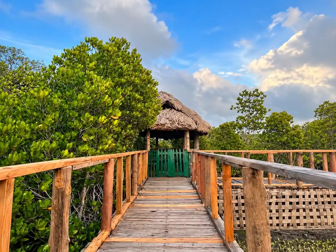 Yerrata Mangrove Walkway & Watchtower photo 2