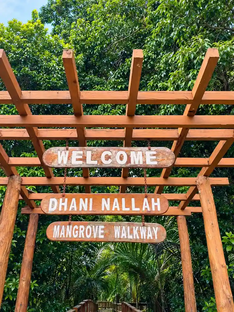 Dhani Nallah Mangrove Walkway