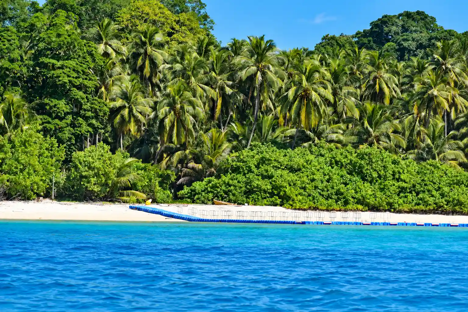 Avis Island photo 2