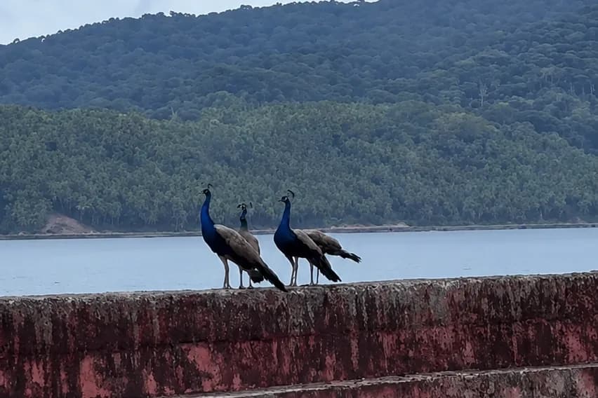 Ross Island (Netaji Subhash Chandra Bose Dweep) featured photo