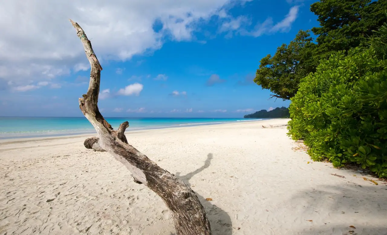 Elephant Beach photo 3