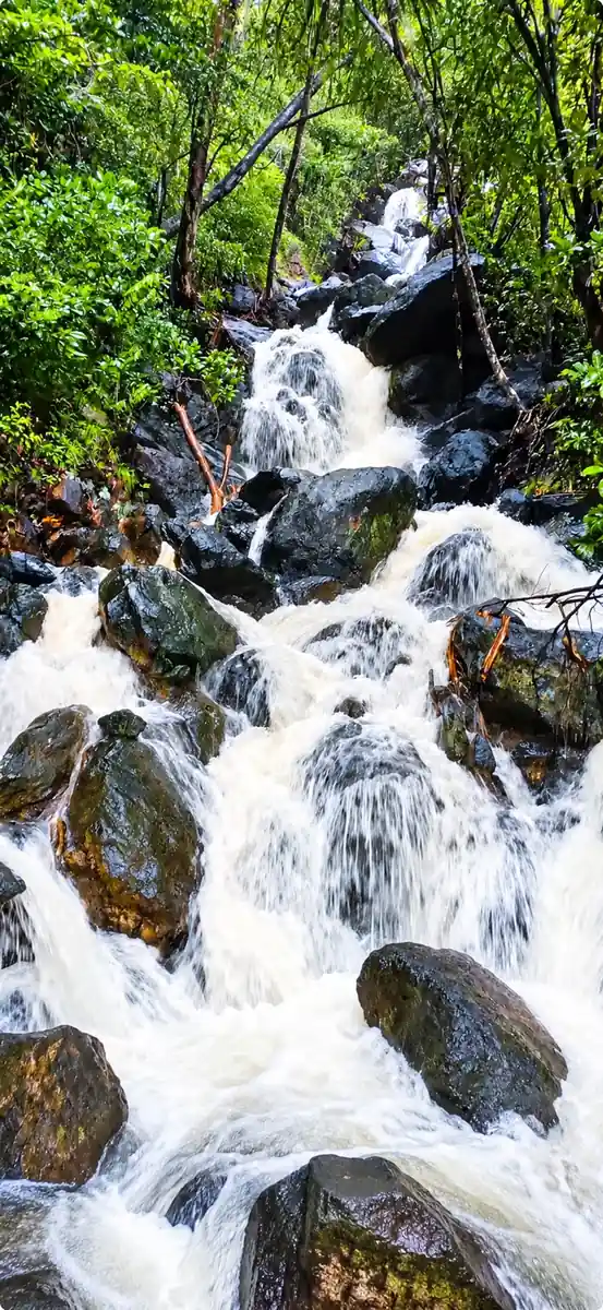 Panchavati Waterfalls featured photo