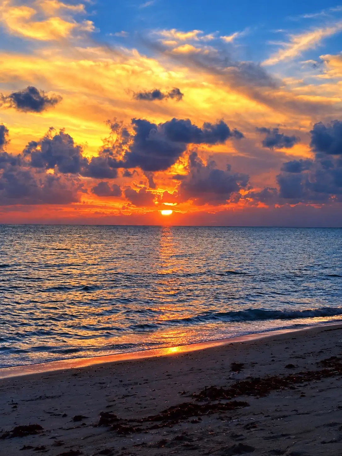 Vijay Nagar Beach (Beach No. 5) photo 4