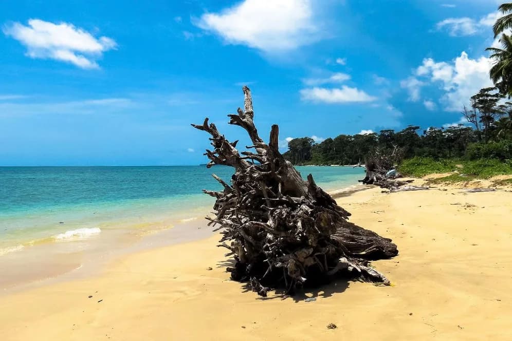 Wandoor Beach photo 2