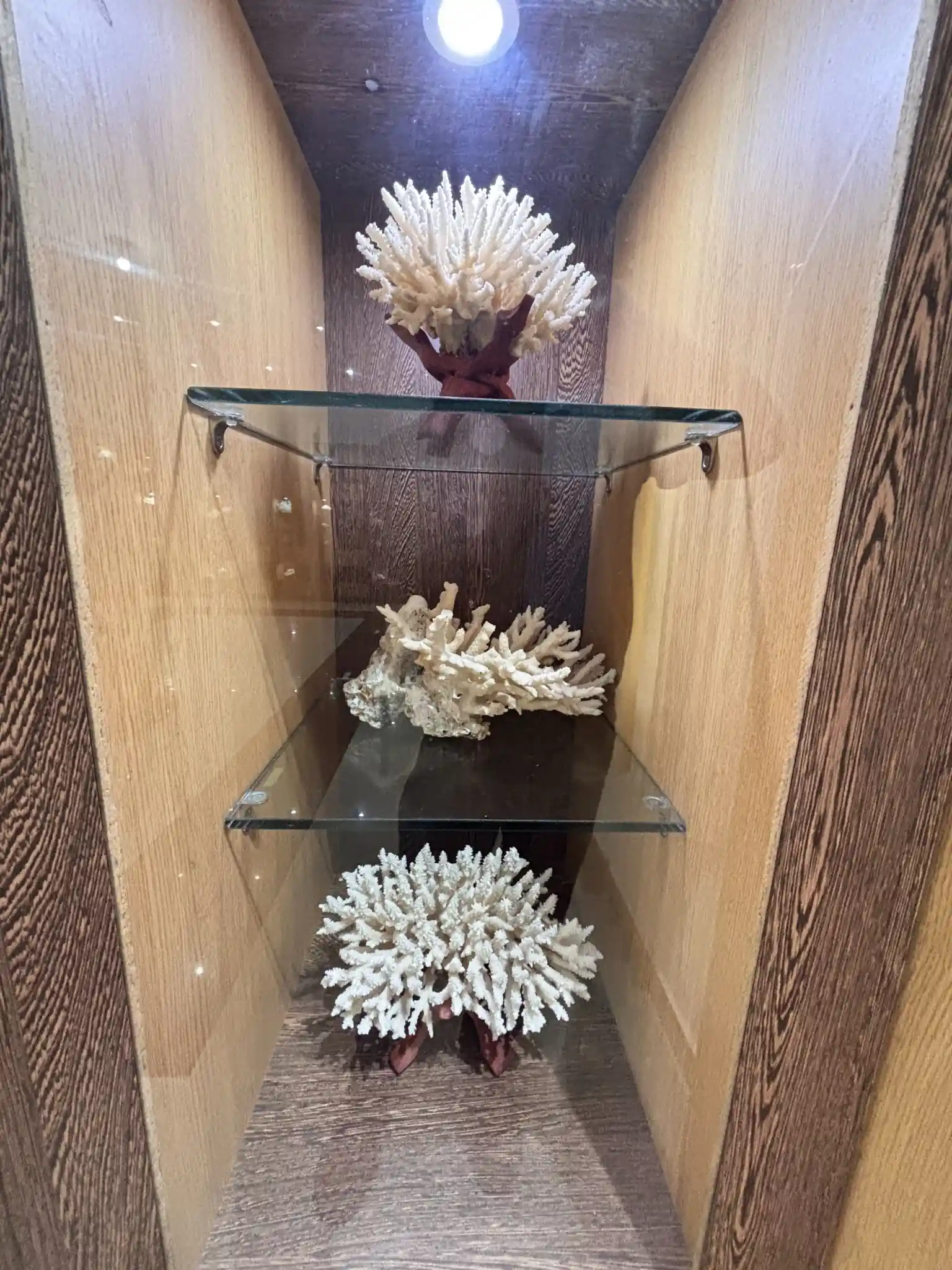 Samudrika Marine Museum photo 2