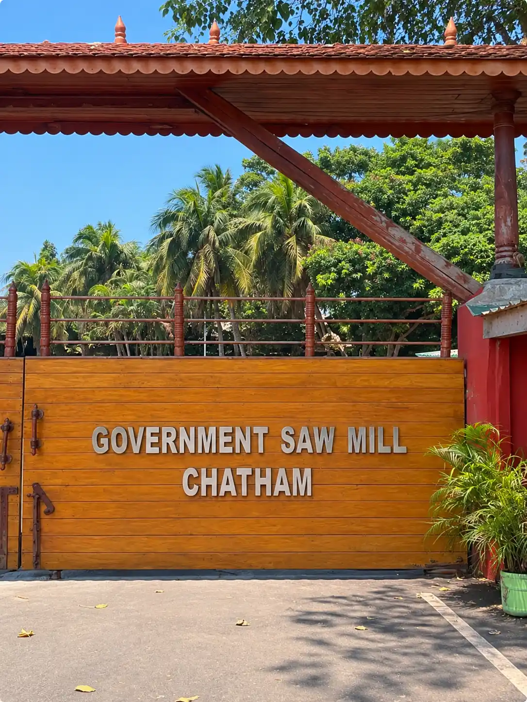 Chatham Saw Mill & Forest Museum photo 2