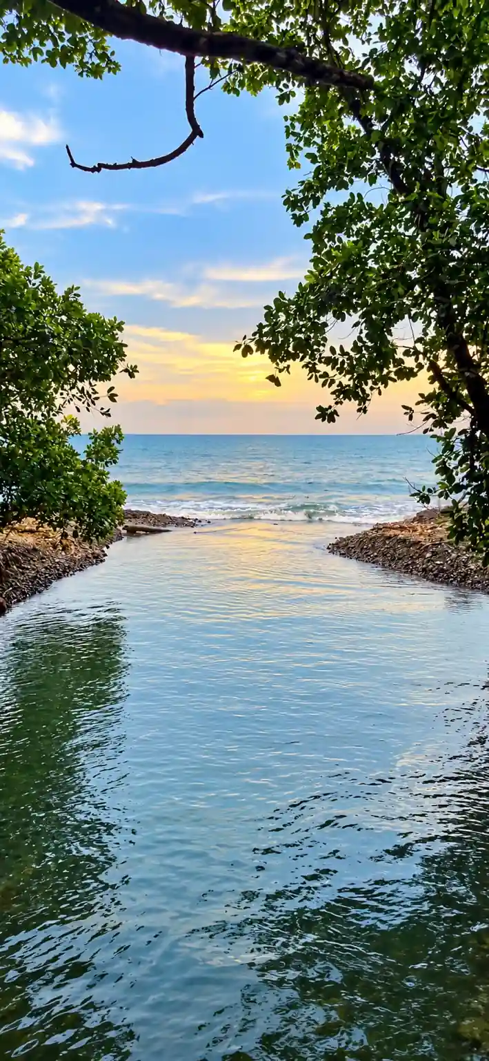 Morice Dera Beach & Eco Park photo 2