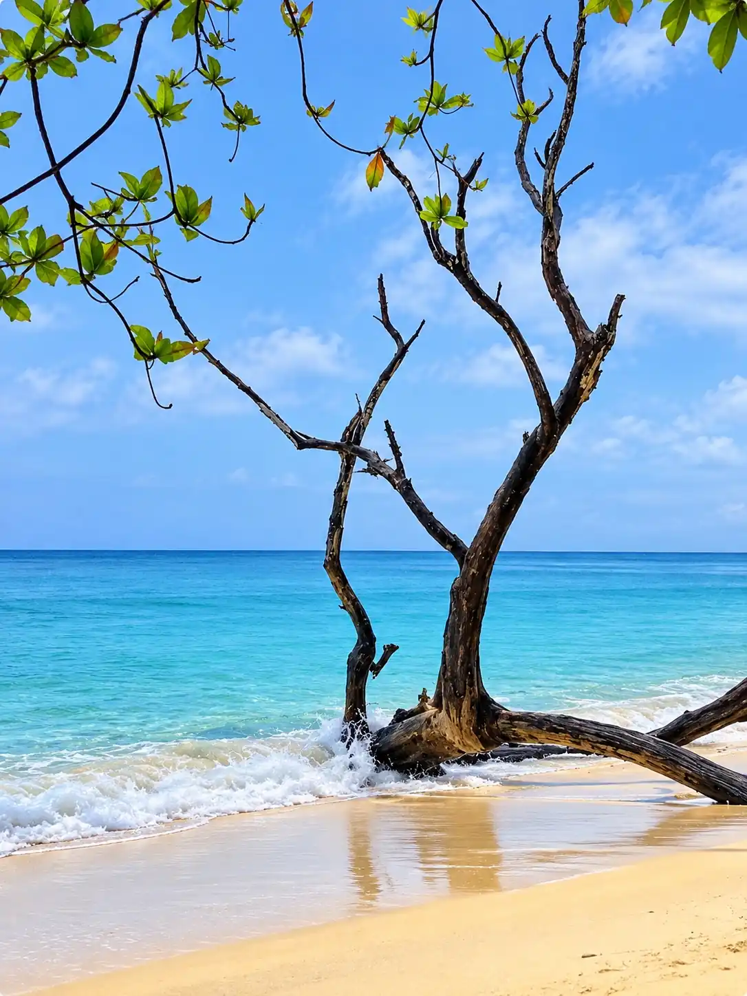 Kalapathar Beach photo 3