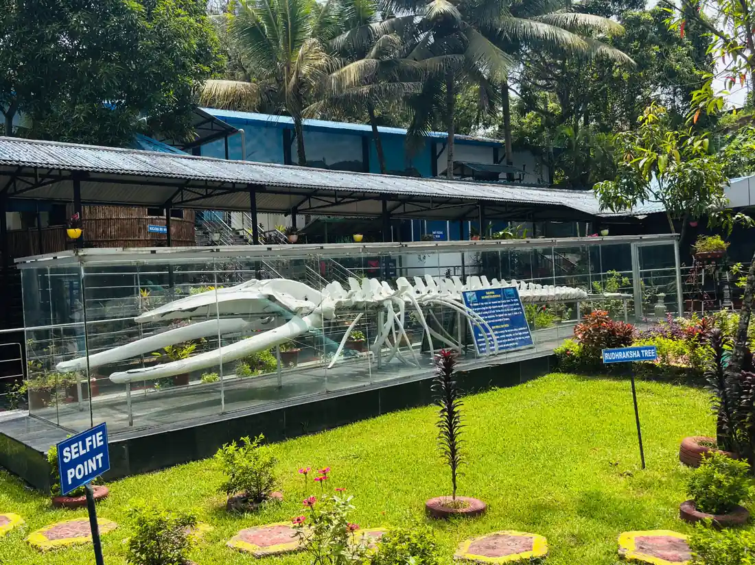 Samudrika Marine Museum