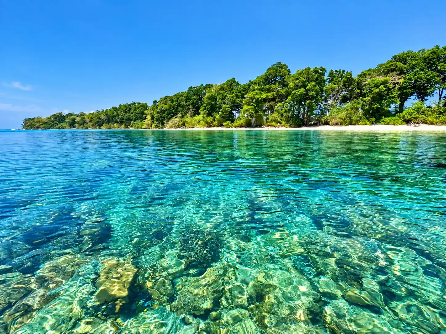 Red Skin Island photo 2