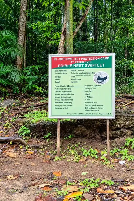 Alfred Caves photo 3