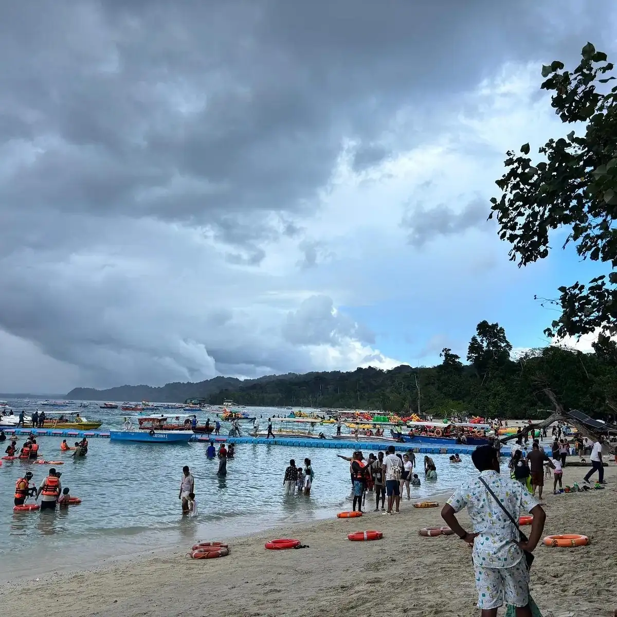 Elephant Beach featured photo
