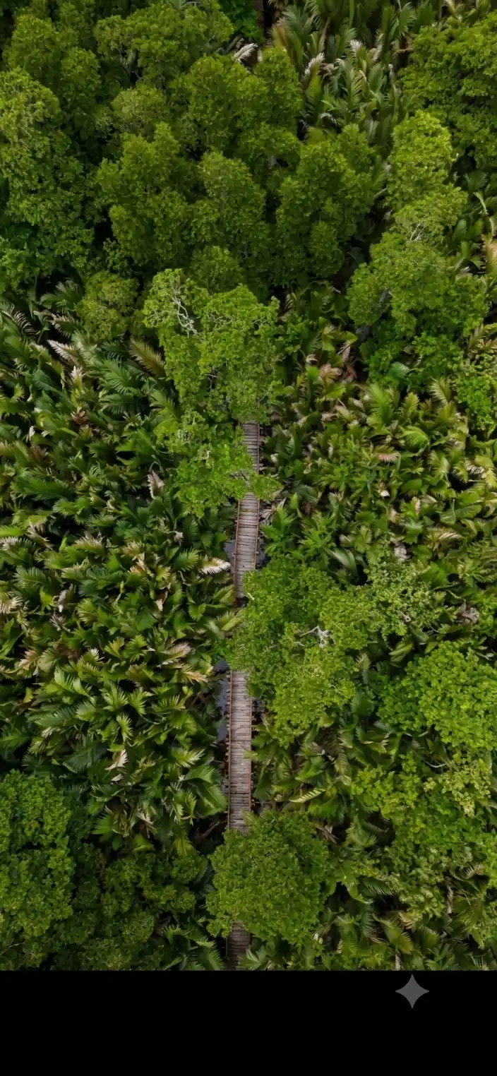 Dhani Nallah Mangrove Walkway photo 5