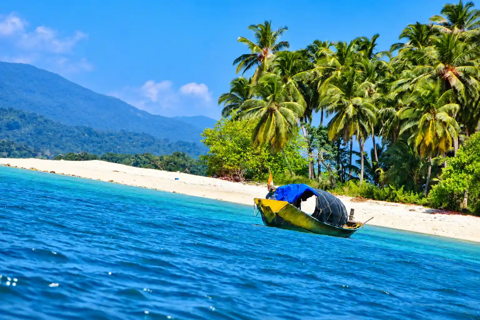 Avis Island